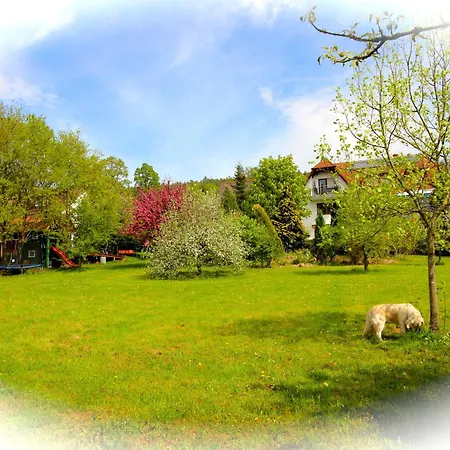 Apartament Hoechemer *